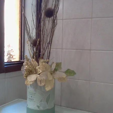 Casina Tiberina * Roma
